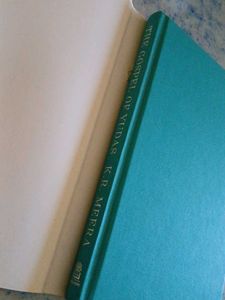The Gospel of Judas by K.R. Meera