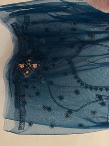 Embroidered Lehenga Skirt