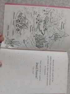 Fashion Fairy Princess Primrose Book