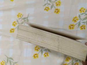 Hunting Adeline Book