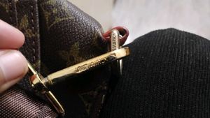 Unisex Louis Vuitton bag