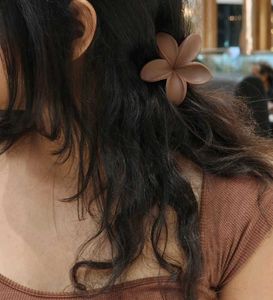 Stylish Brown Square Neck Crop Top