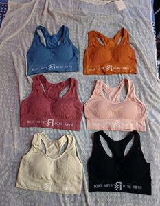 New Padded Sports Bra (Women's)