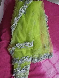 Lime Green Embellished Saree