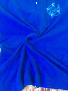 Men's Blue Polo T-Shirt