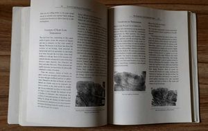 Book - Love In The Palm Of Your Hand FREE DELIVERY
