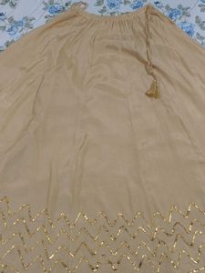 Beige Ethnic Skirt with Golden Embellishments
