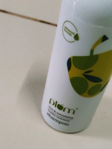 Plum Shampoo