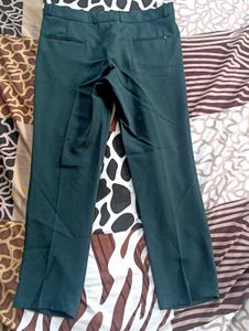 green formal pant