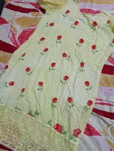 Stylish Pastel Punjabi Suit