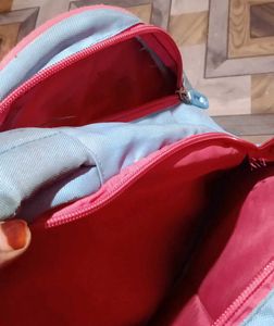 Frozen School bag with free bottlefor Kids