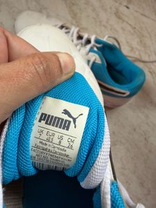 Puma Tenaz Indoor Badminton/Gym Shoes (UK 7)