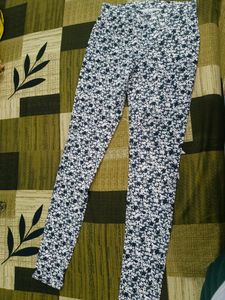 Printed Pant