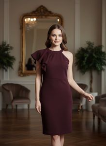 Burgundy Fit & Flare Dress