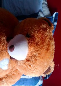 Large Plush Teddy Bear