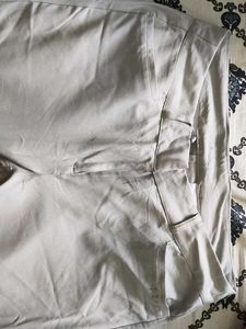 Light Grey Casual Pants
