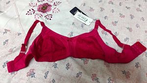 Vibrant Pink Bra with Lace Detail