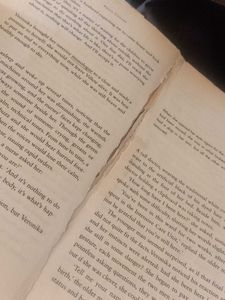 Paulo Coelho - Veronika Decides to Die