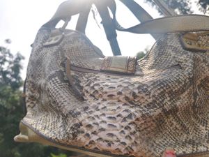 Authentic Vincis Bench Animal Print Handbag