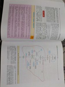 Biochemistry 4th Edition Textbook
