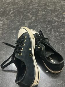 Converse Shoe