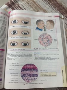 BD Chaurasia's Human Anatomy for Dental Students