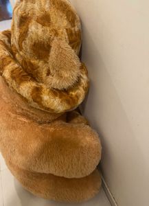 Life Size Teddy Bear
