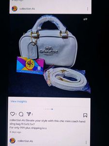 Chic Mini Coach