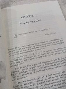 Raising Good Humans Book