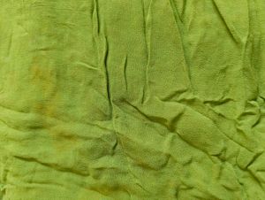 Vibrant Green Dupatta with Embellished Border