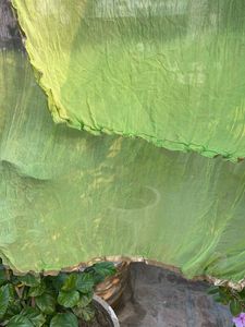 Stylish Ombre Saree