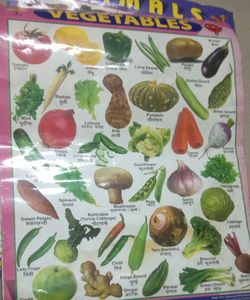 Combo Of 4 Hindi Varnmala Etc, Learning Chart