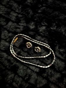 Silver Tone Necklace & Earring Set