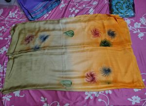 Beautiful Hand-Painted chiffon Saree