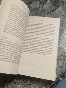 The Girl On The Train By Paula Hawkins