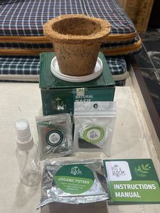 Pot &amp; Bloom Natural Basil Grow Kit