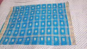 Beautiful Blue Saree with Elegant Border
