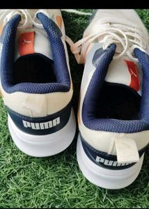 Puma Men's Sport Shoes