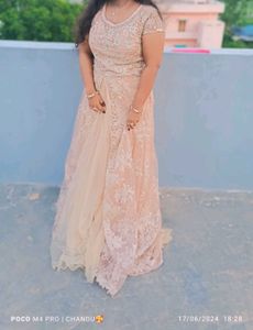 Exquisite Embellished Ethnic Gown