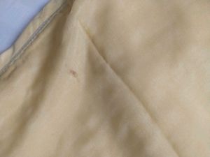Yellow Lehenga Choli Set with Dupatta