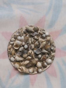 Seashell Bookmark