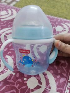 Spout Cup