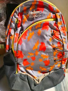 New De Vegabond Backpack With One Stripe Back