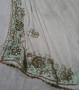 Embellished sare