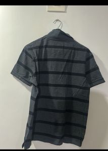 Striped Polo T Shirt