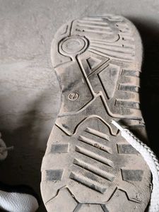 Stylish Tigonis Sneakers