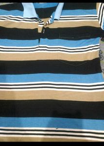 Striped Collared Long Sleeve Top