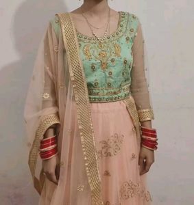 Embroidered Lehenga Choli Set