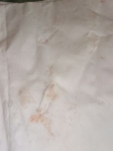 Combo Of New Dhoti + Dupatta