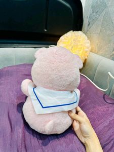 Cute Pink Teddy Bear Plush Toy
